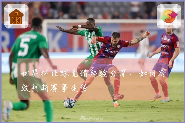 世界杯让球竞猜经验分享，如何有效判断赛事走势