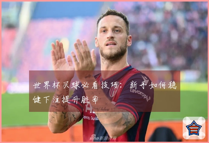 世界杯买球必看技巧：新手如何稳健下注提升胜率