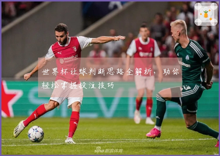 世界杯让球判断思路全解析，助你轻松掌握投注技巧