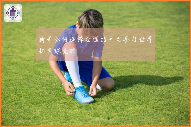 新手如何选择合适的平台参与世界杯买球竞猜