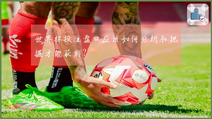 世界杯投注盘口应该如何分析和把握才能获利？