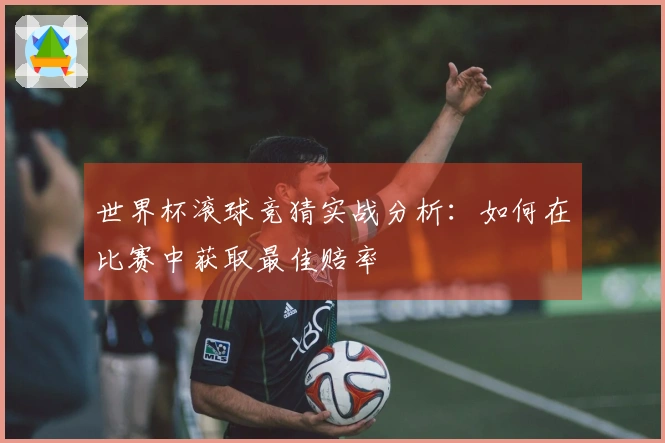 世界杯滚球竞猜实战分析：如何在比赛中获取最佳赔率