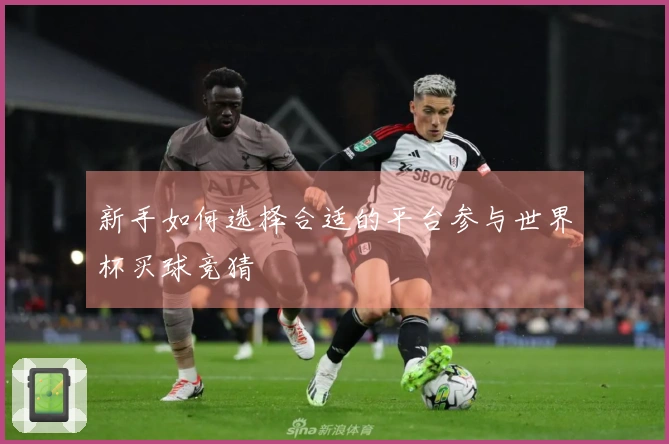 新手如何选择合适的平台参与世界杯买球竞猜