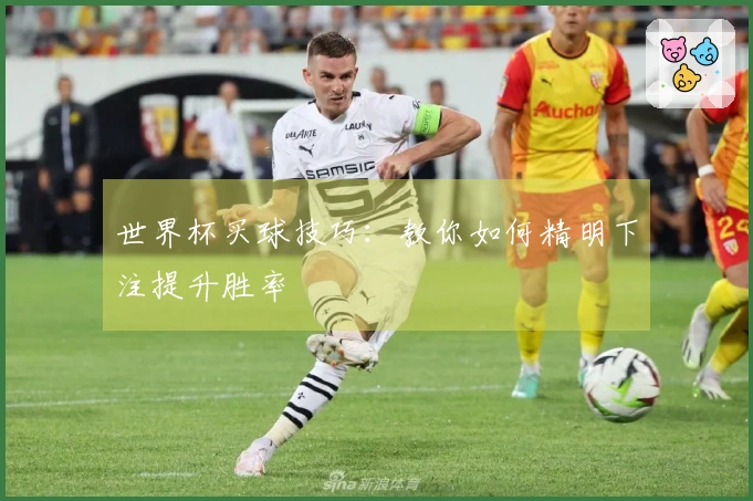 世界杯买球技巧：教你如何精明下注提升胜率